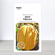 Семена дыни Эфиопка (Украина), 90-100 семян